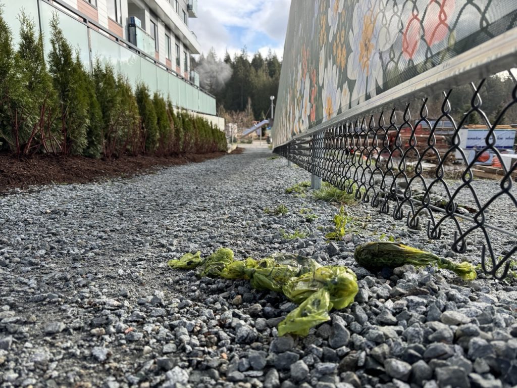 Dog Owners: Pick Up After Your Pet