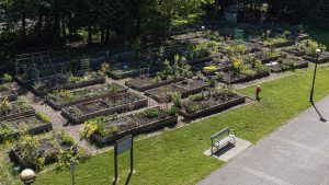 OPINION: Time to Revisit Community Garden System