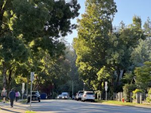 Board Addresses Concerns over Invasive Beetle