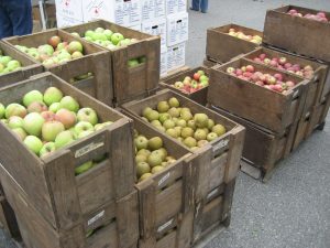 Apple Festival Enters 34th Year