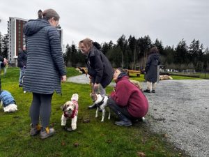 Dog Park a Hit with Dog Owners