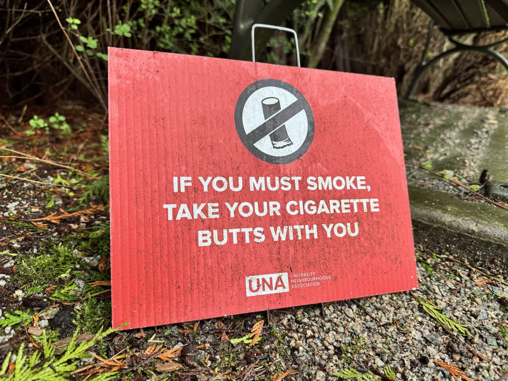 OPINION – Cannabis on Campus: Balancing Personal Freedoms with Collective Well-being