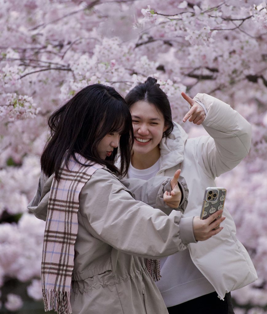 IN OUR WORDS: Cherry Blossom Season has Begun