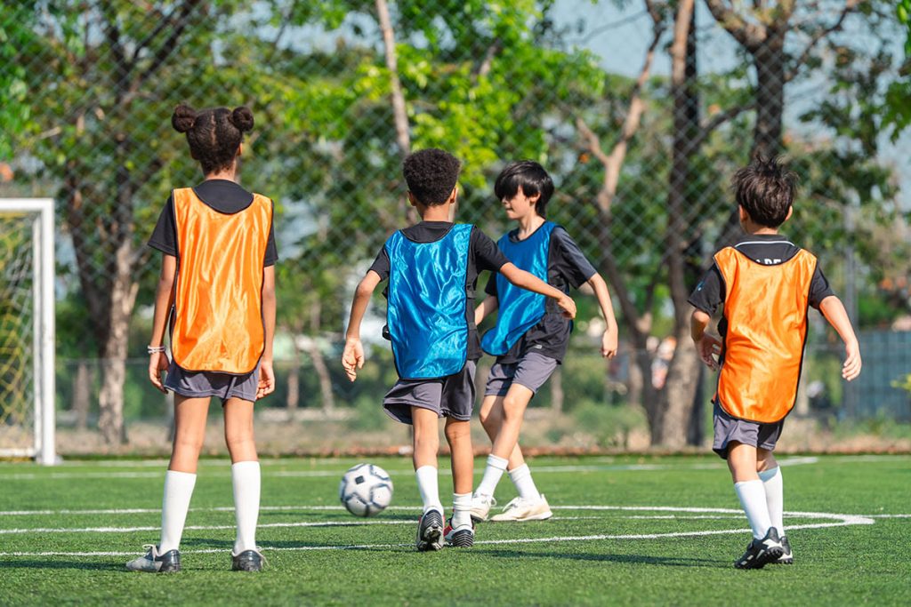 Campus Sports Fields Leaching Chemicals