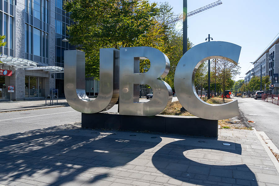 University Says International Student Enrolment Increasing