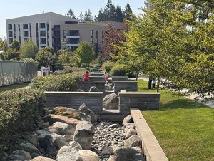 Rainwater Management Plan Adopted, New Wesbrook Development Plans Revealed